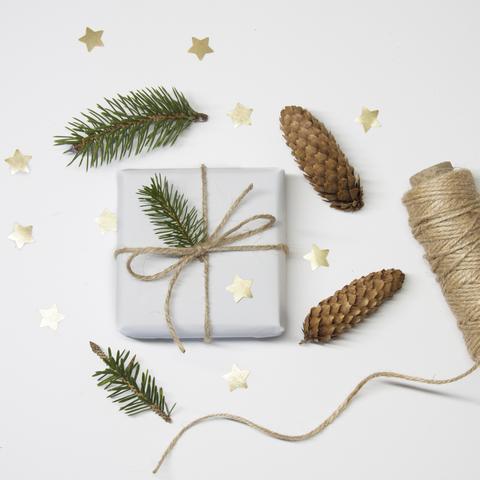 Down in the woods today !