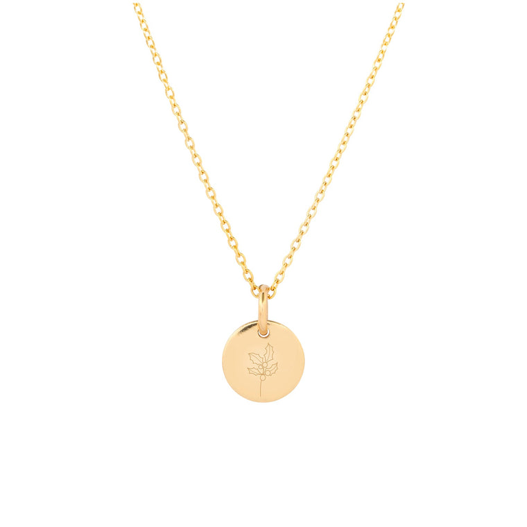 December Birth Flower Holly