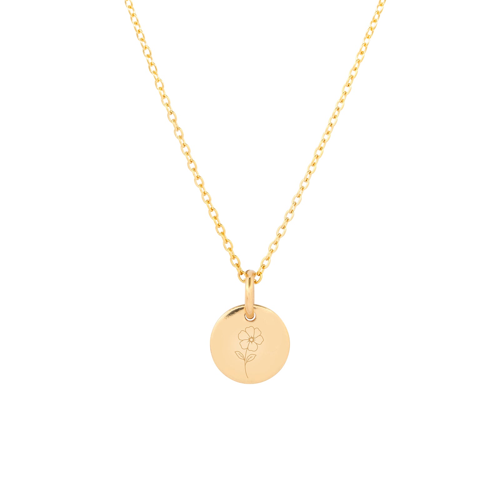 February Birth Flower - Violet