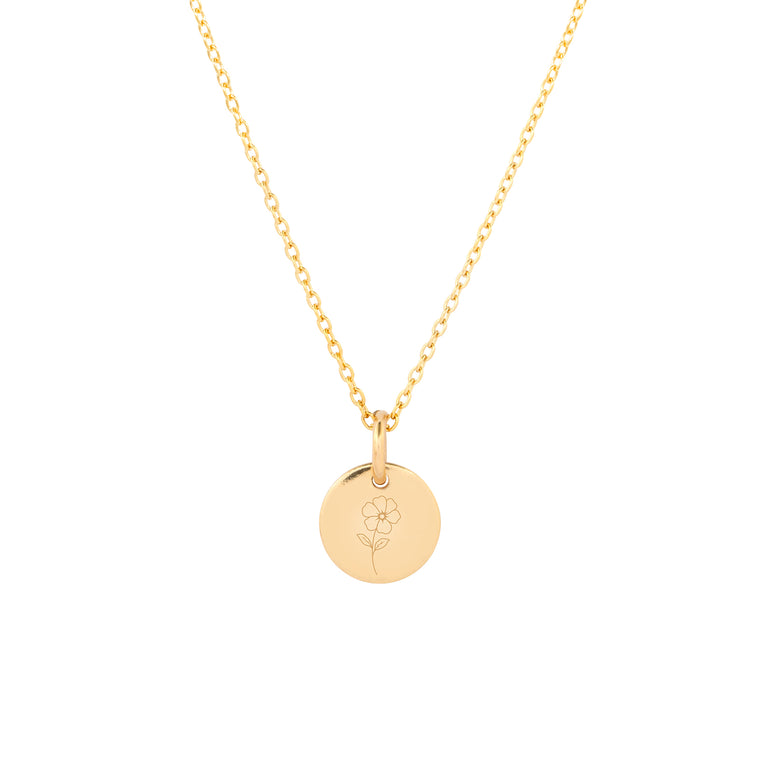 February Birth Flower - Violet