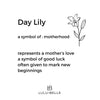 Lily personalised necklace gold - Lulu + Belle Jewellery